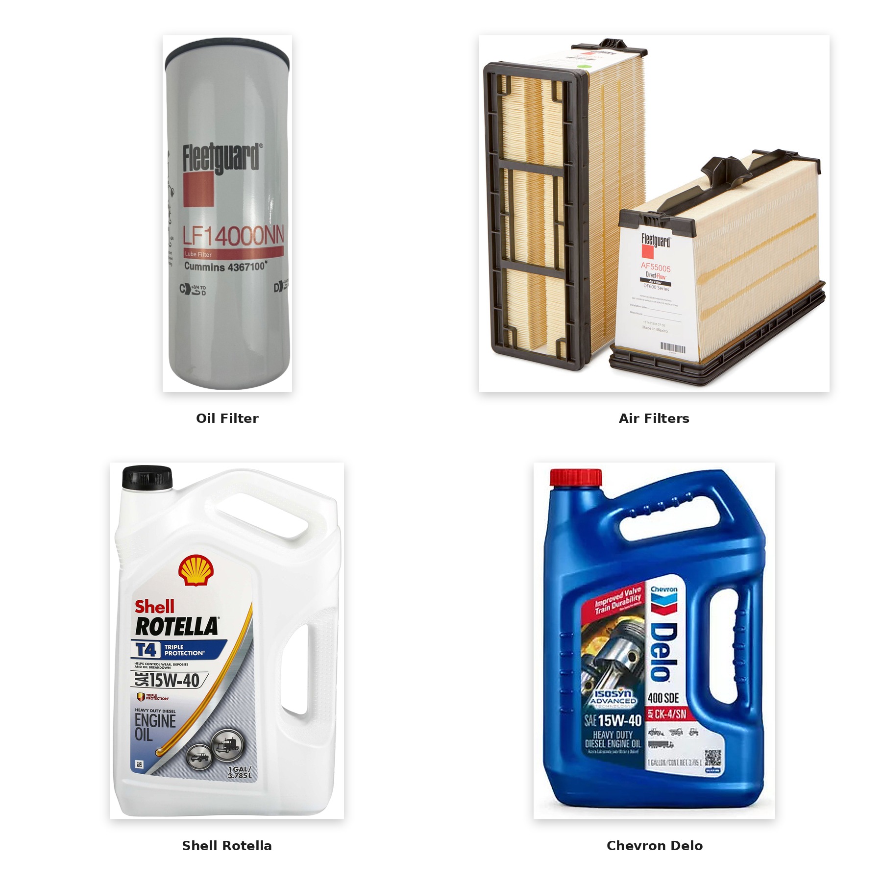 Oil & Filtration